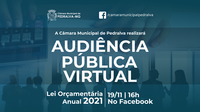 Câmara convida para audiência pública virtual - apresentação da LOA 2021