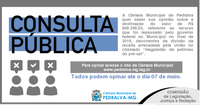 Consultas Públicas