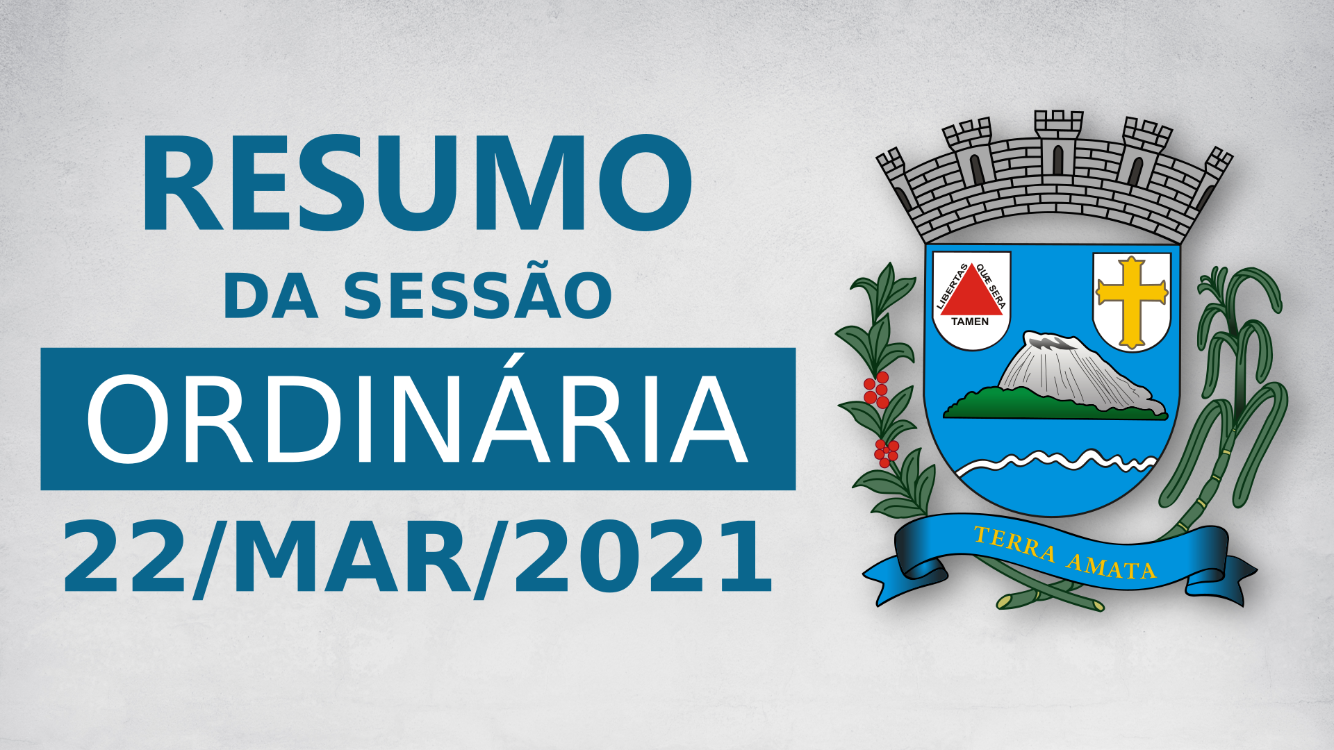 Resumo da 11ª Sessão Ordinária de 2021